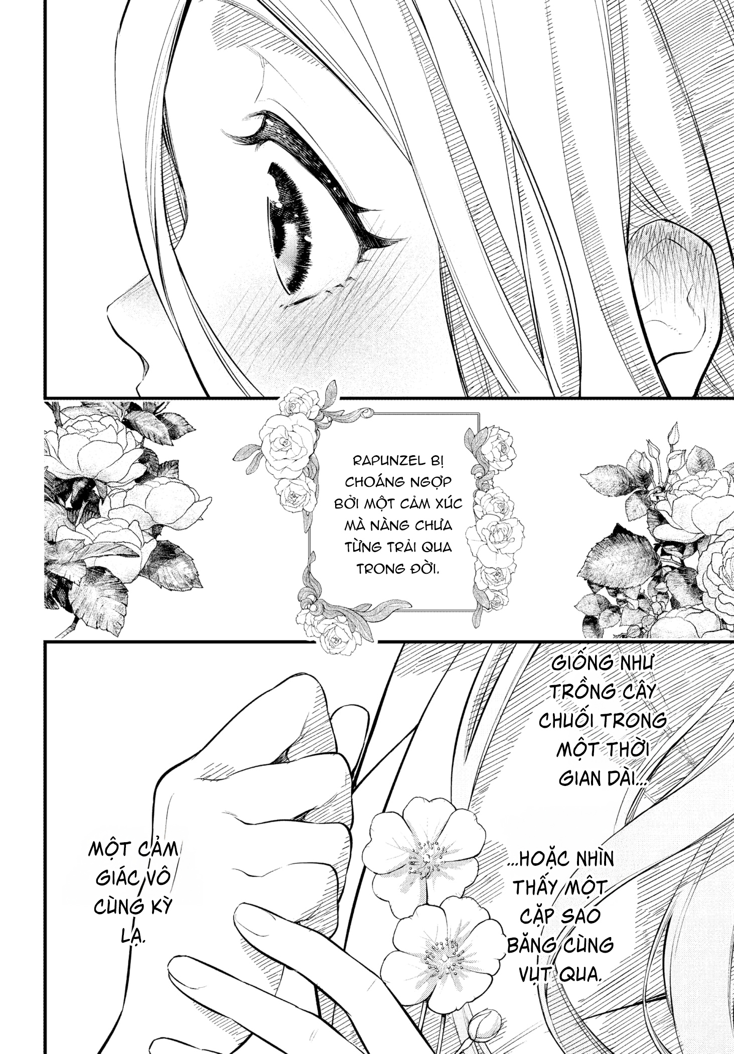 Märchen Crown Hạnh Phúc Vĩnh Cửu 第23页