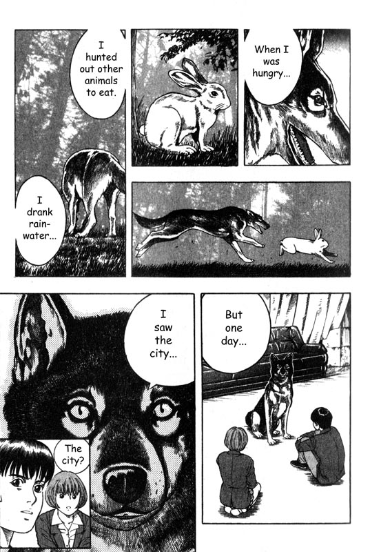 Inugami The Mission 第33页
