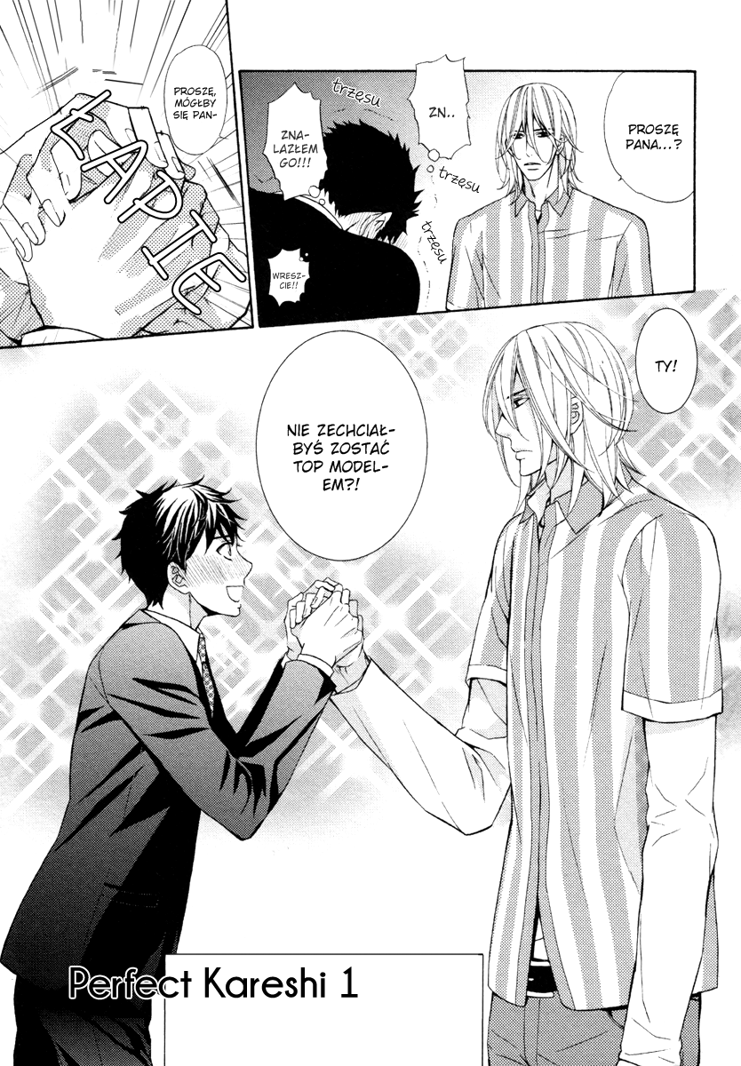 Perfect Kareshi 第6页