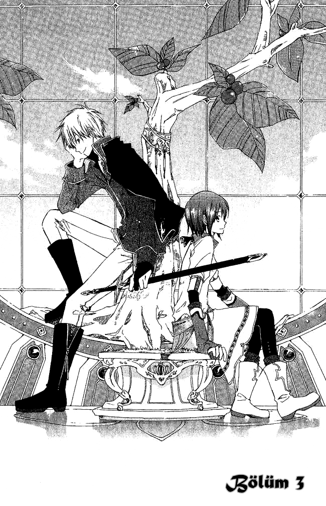 Akagami no Shirayukihime Vol. 1 Ch. 3 第4页