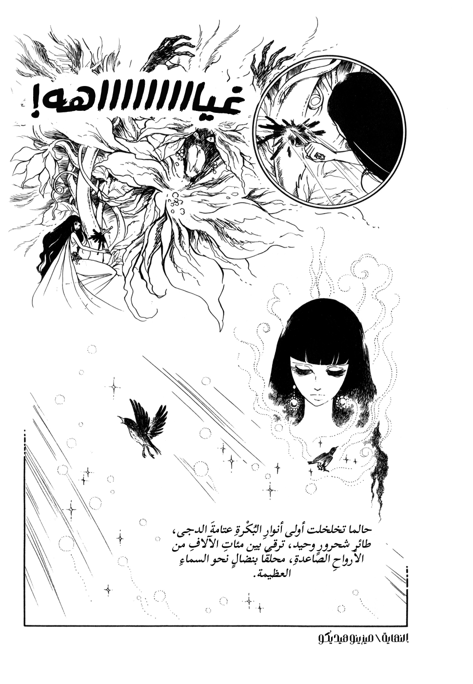 Night Flower زهرةُ الدُّجى 第14页