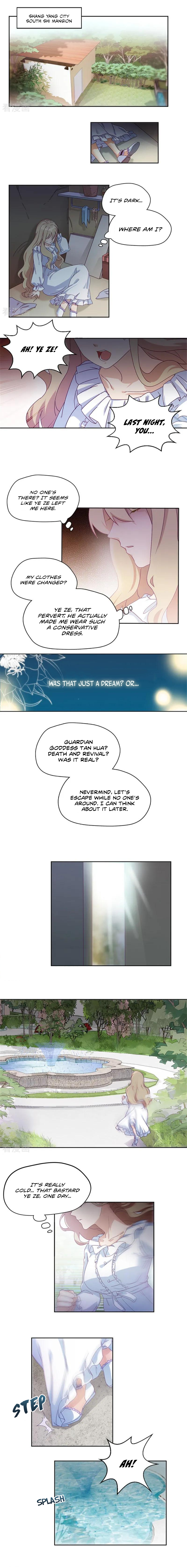 Silkflower Fantasy Dream Miraculous Rebirth 第3页
