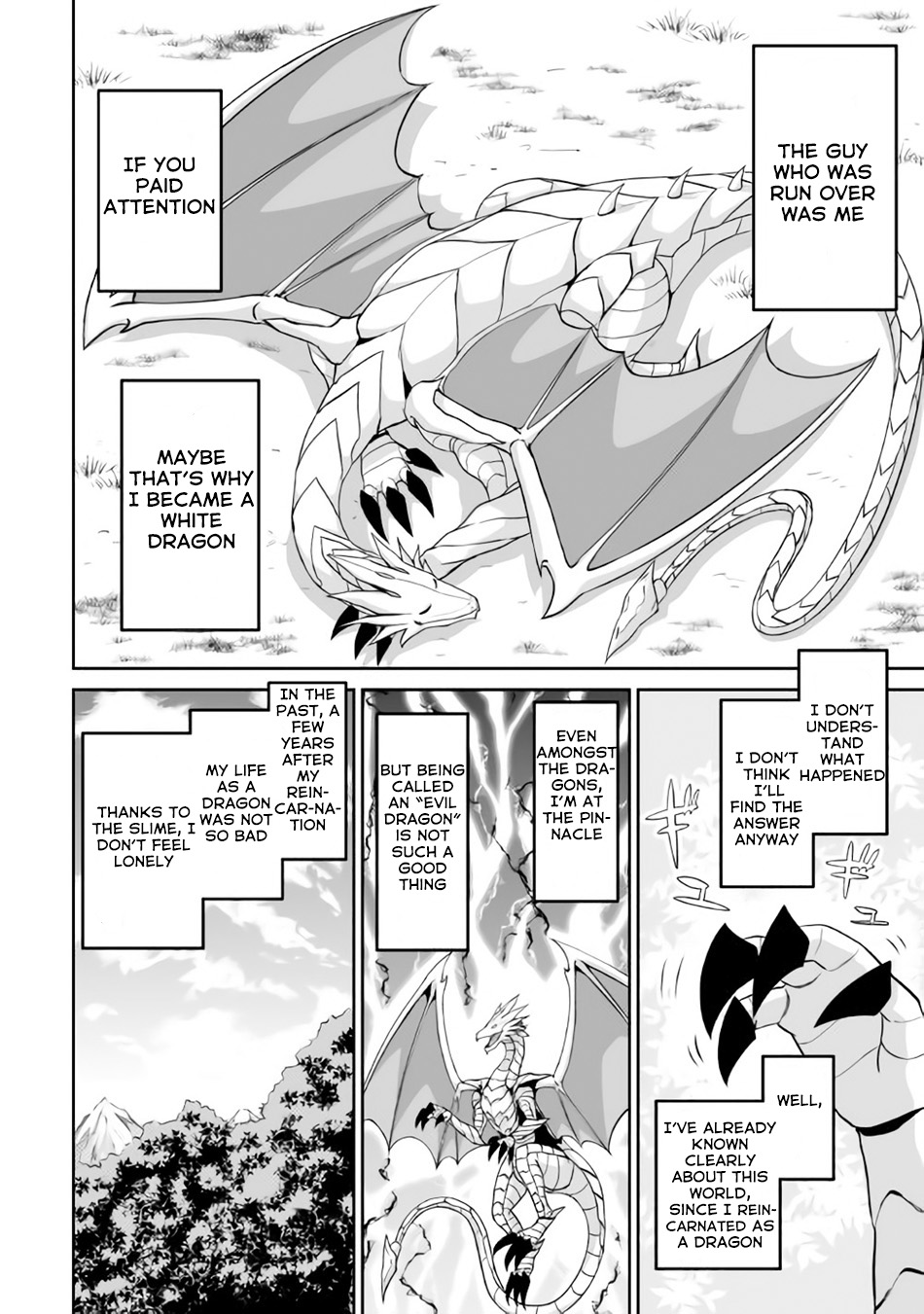 The Reincarnated Evil Dragon I Am An Evil Dragon 第13页