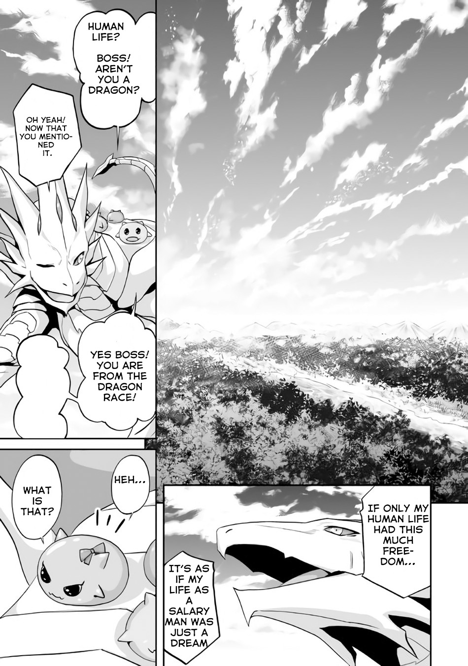 The Reincarnated Evil Dragon I Am An Evil Dragon 第18页