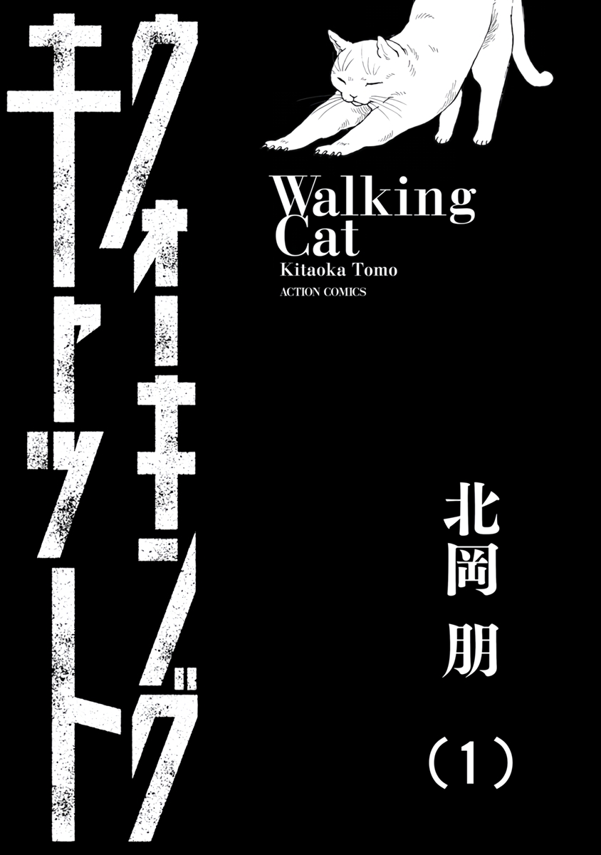 Walking Cat No que eu estava pensando? 第5页