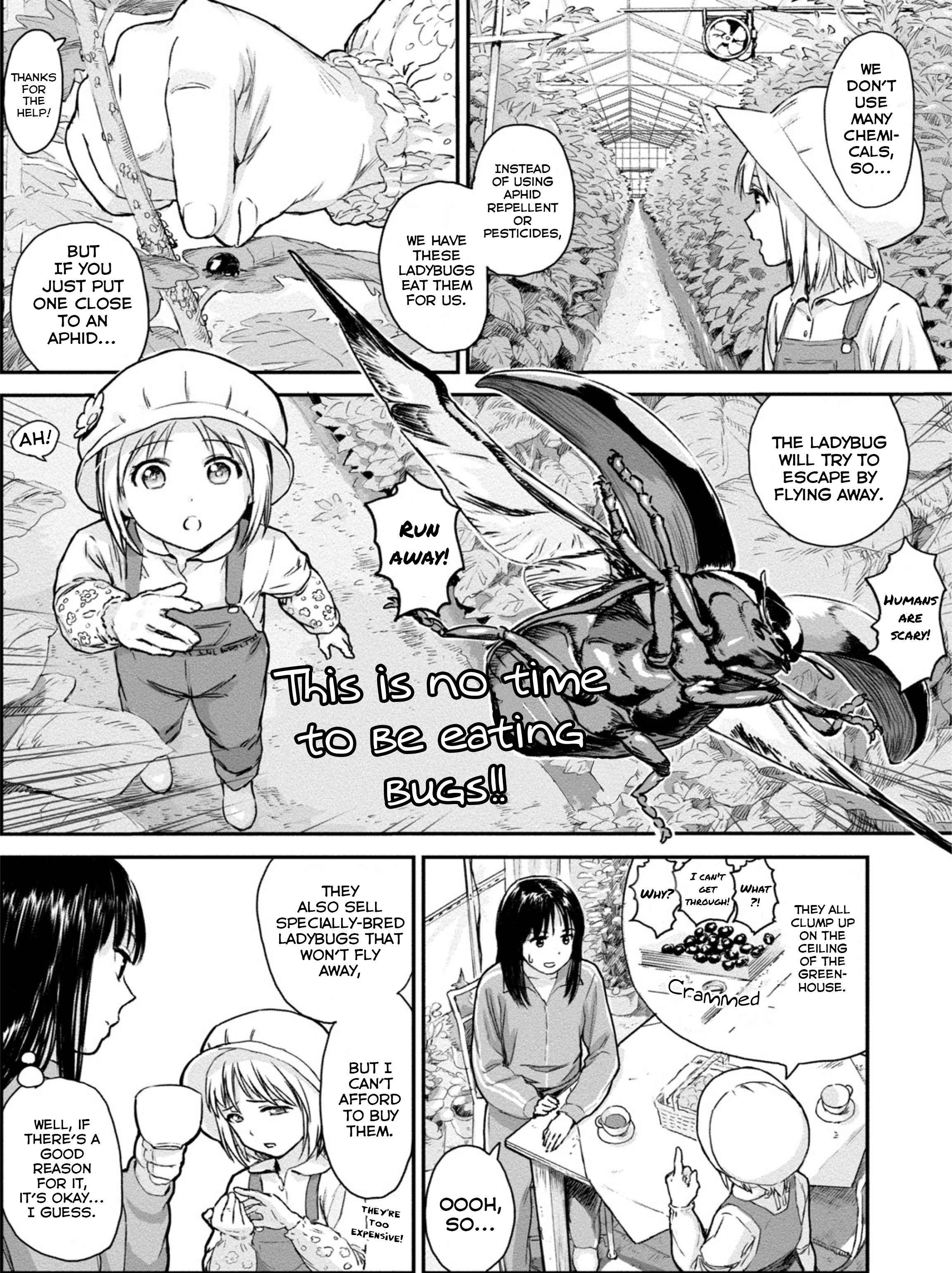 Mai's Insect Life 第8页
