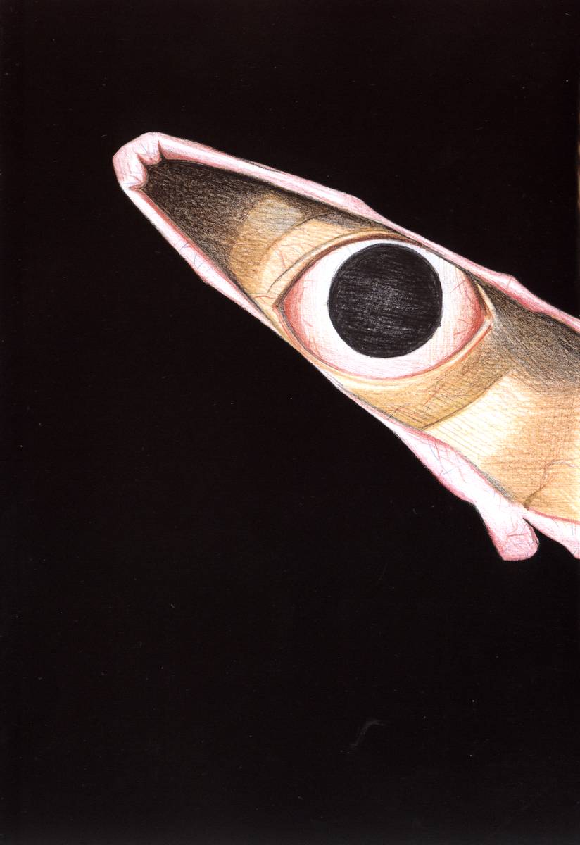 Fuan no Tane Szkoła 第5页