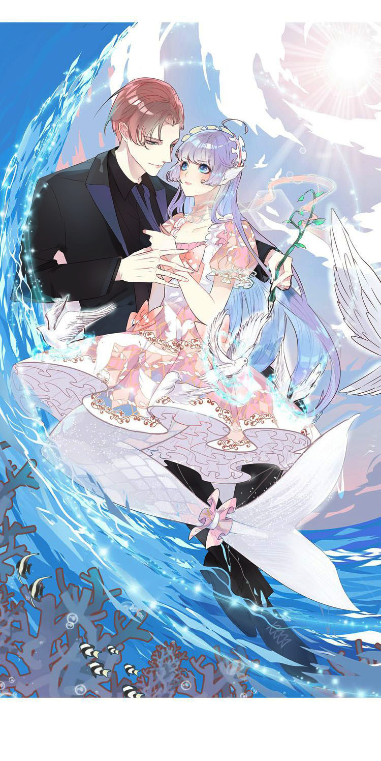 Mermaid's Dresses 第8页
