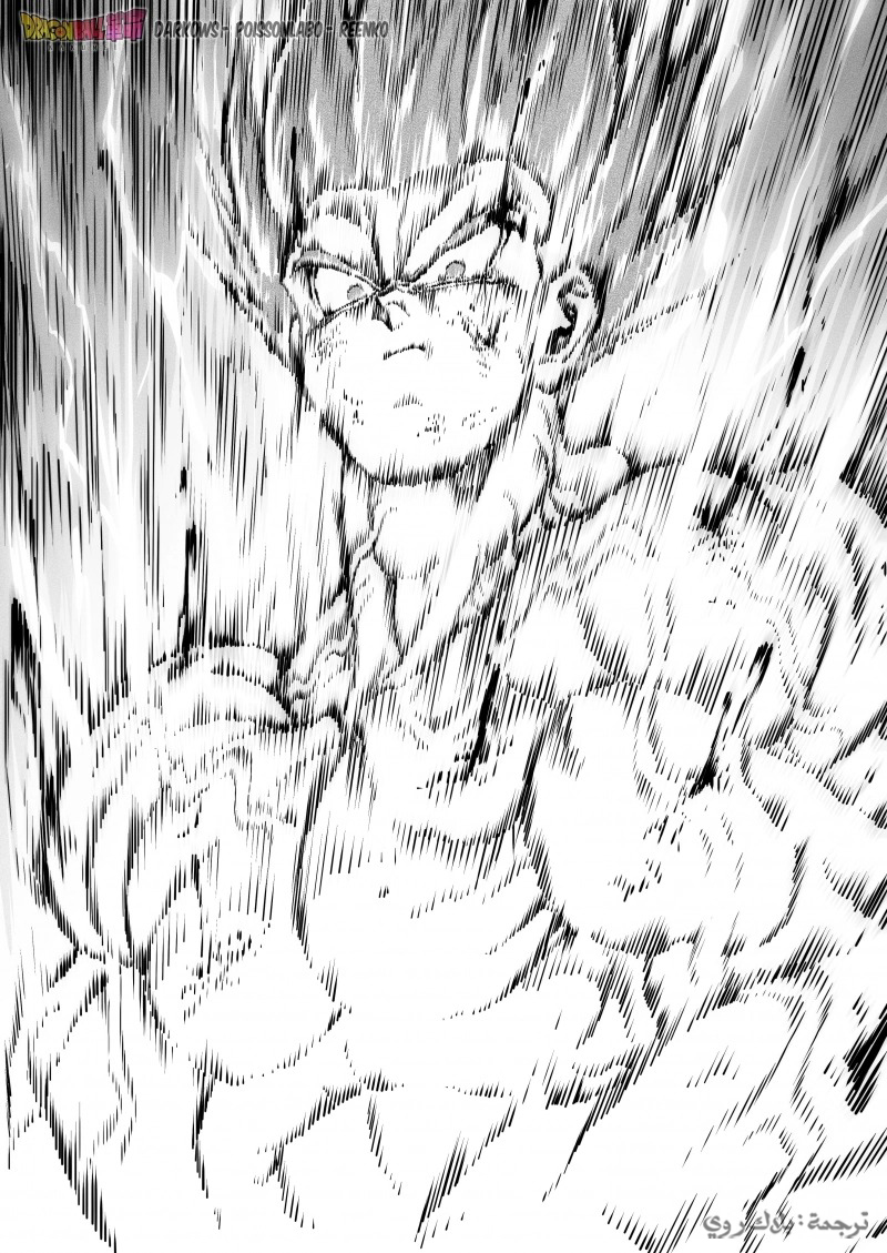 Dragon Ball Kakumei (Doujinshi) تدريب سون غوكو الأخير 第14页