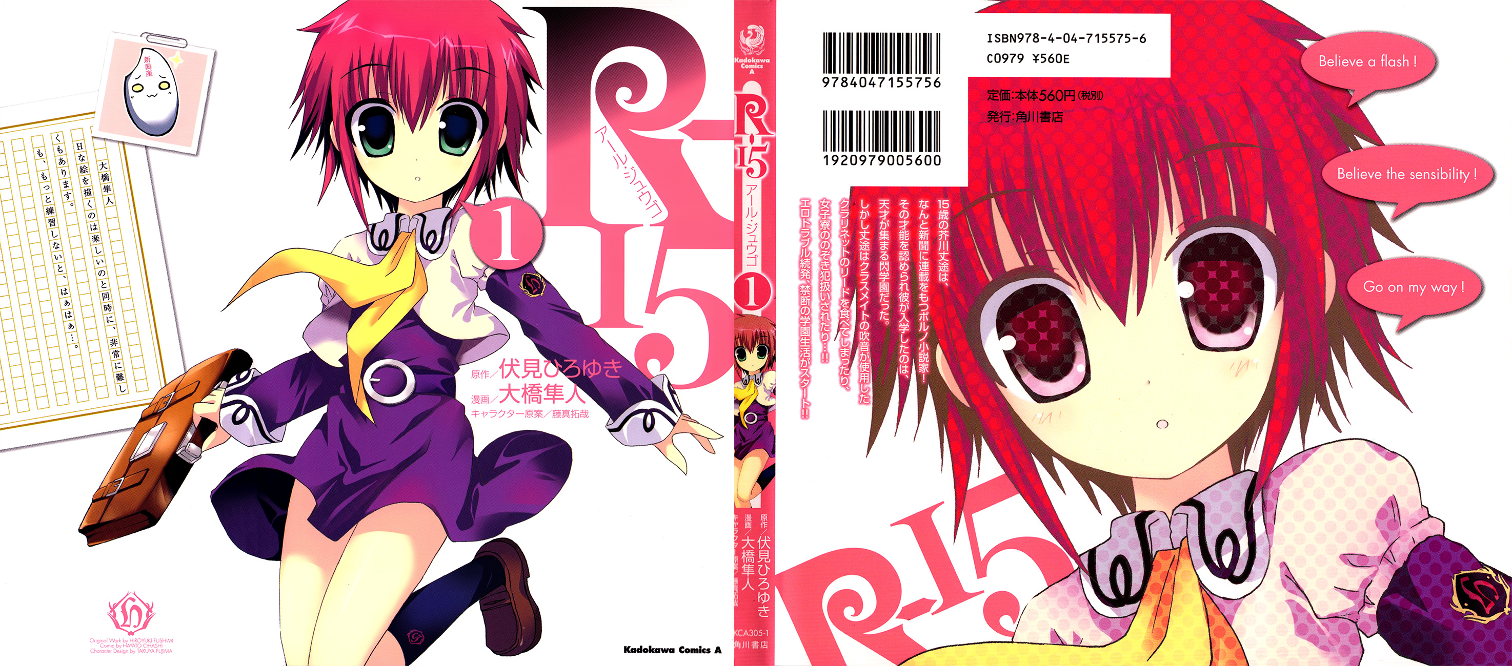 R-15 第3页