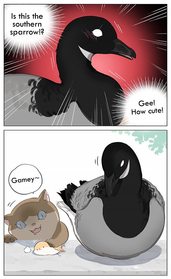 Southern Bird and Northern Bird 第3页