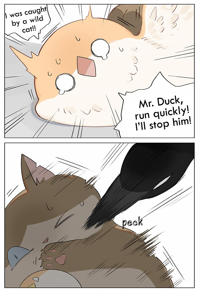 Southern Bird and Northern Bird 第4页