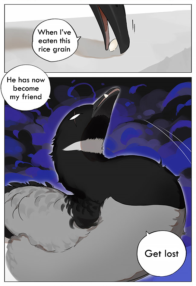 Southern Bird and Northern Bird 第5页