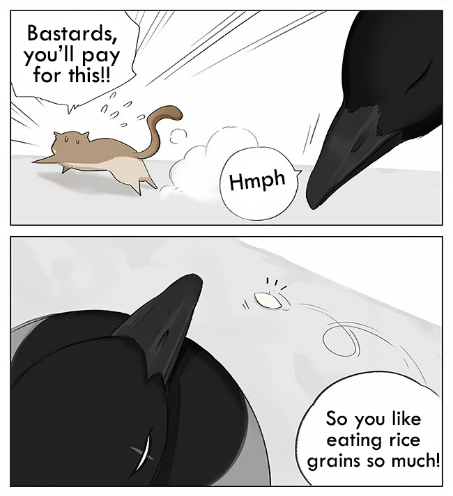 Southern Bird and Northern Bird 第6页