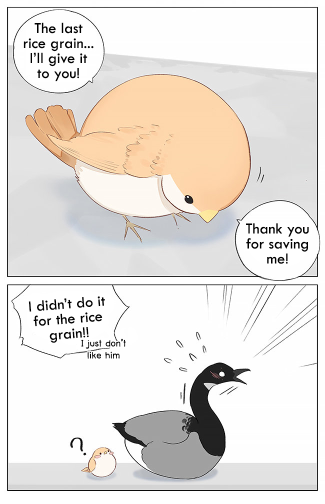 Southern Bird and Northern Bird 第7页