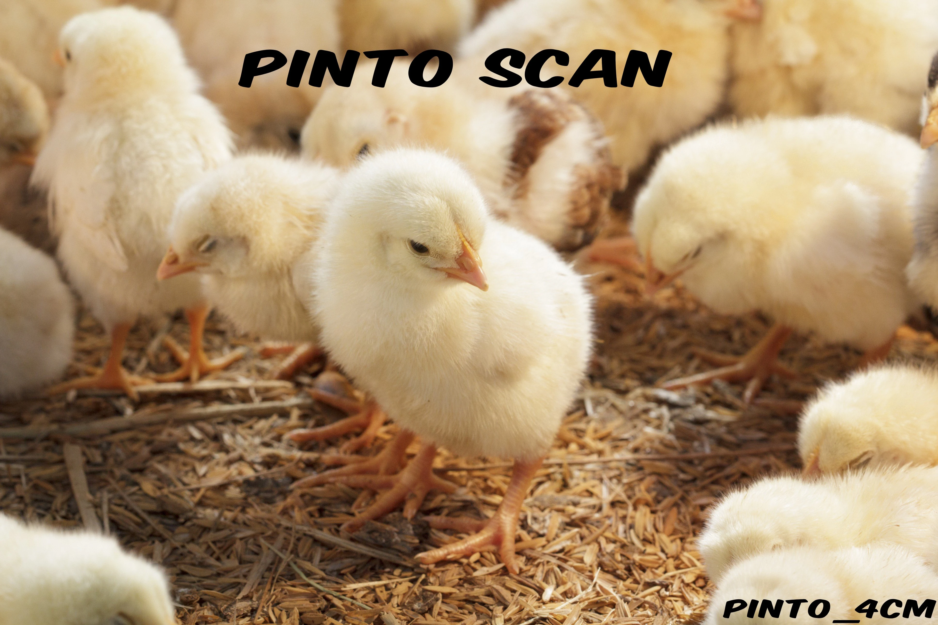 My Harem Consists Entirely of Female Demon Villains Ch. 3 第1页