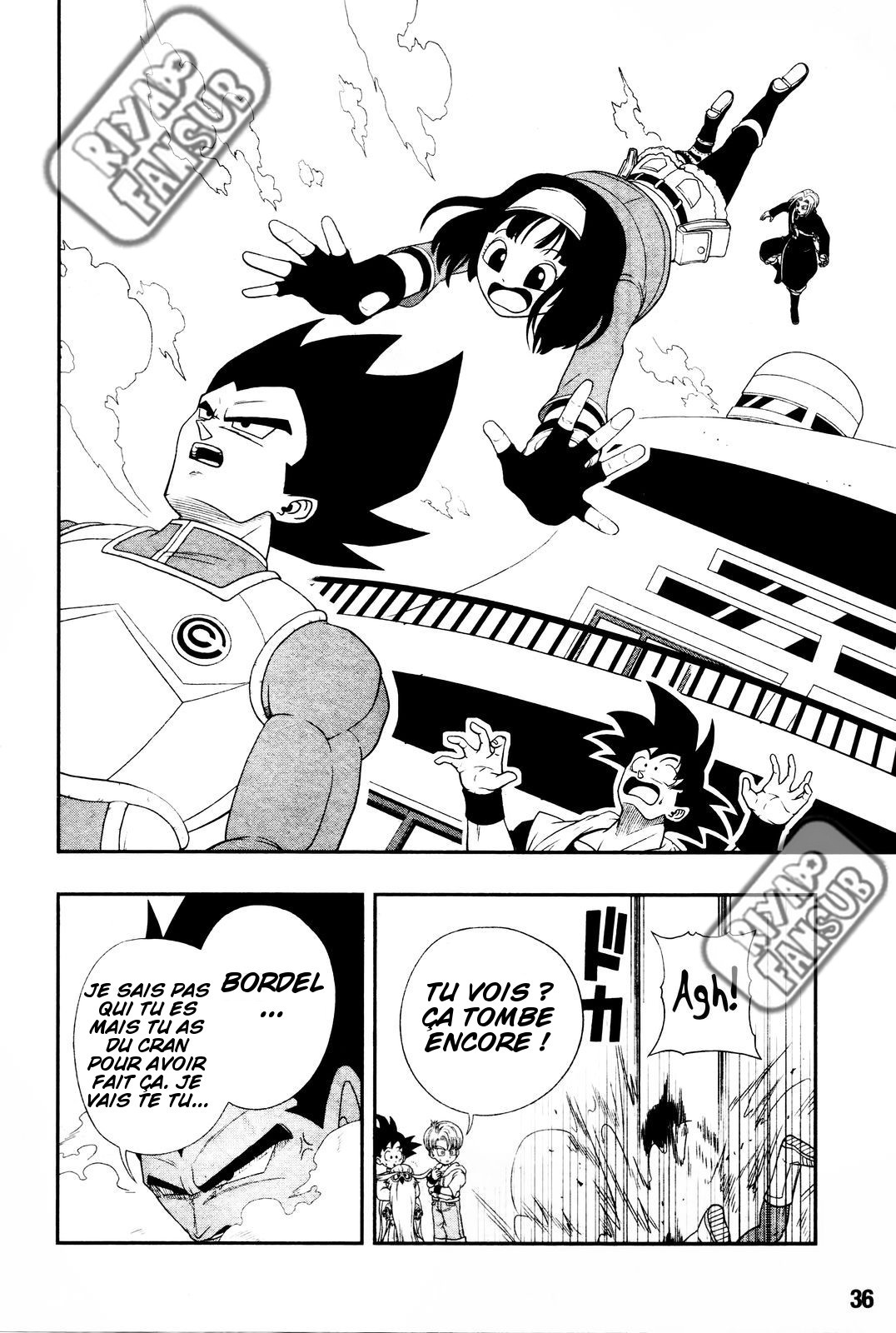 Super Dragon Ball Heroes: Big Bang Mission!!! L'oiseau de la calamité 第11页