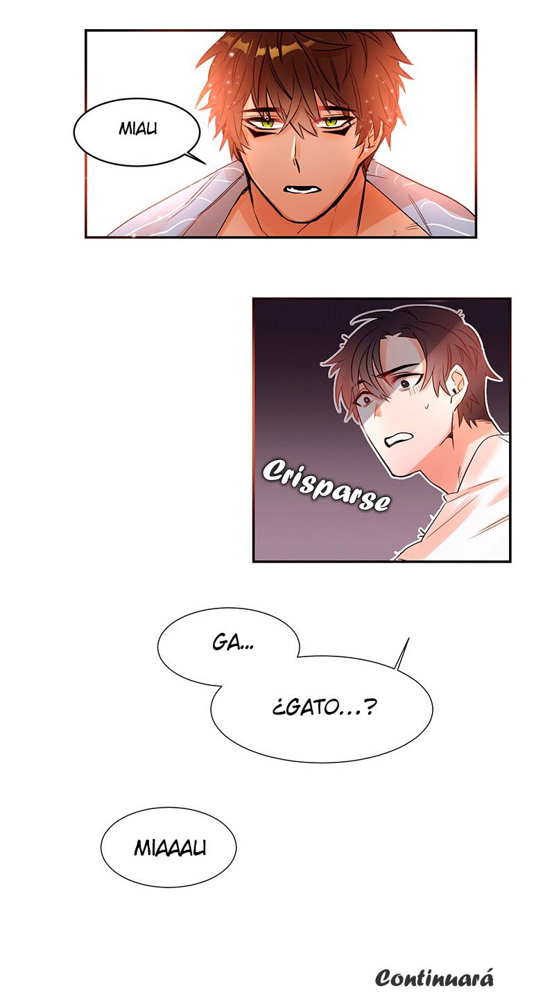 Cat in a Cardboard Box Ch. 1 第51页