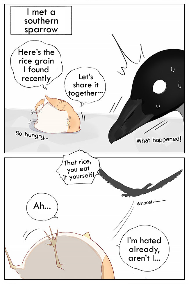 Southern Bird and Northern Bird Foraging 第2页