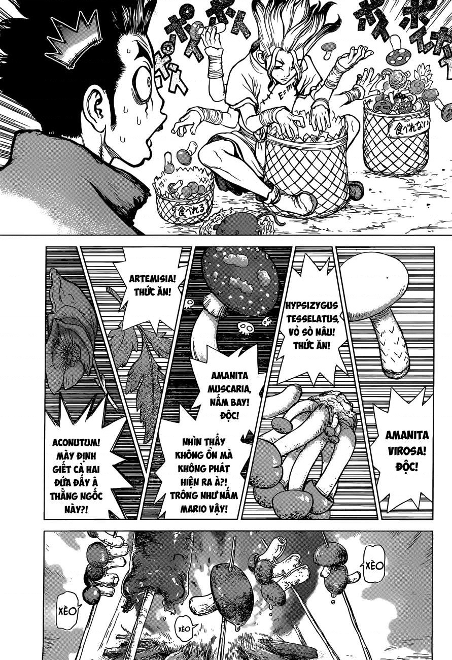 Dr.STONE Vol. 1 Ch. 2 第5页