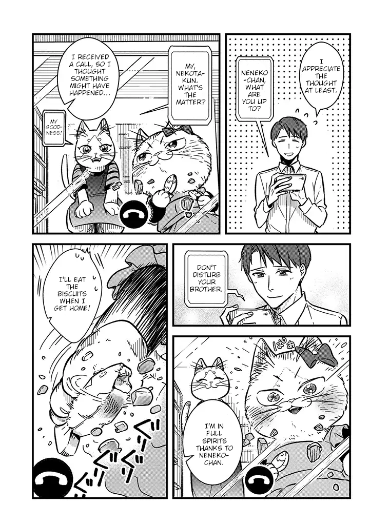 My Sister, The Cat Neneko & the Video Call 第9页