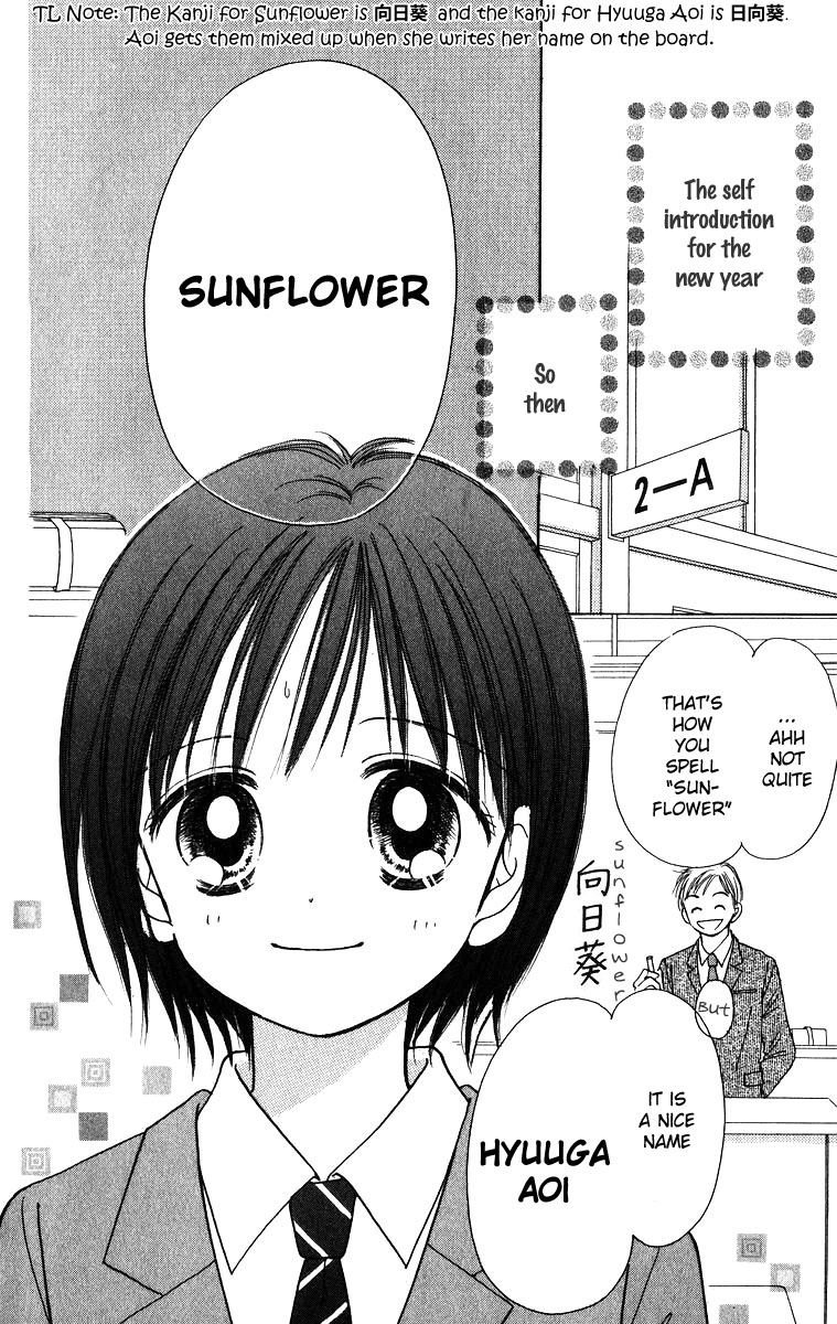 Orange Revolution Sunflower Carnival 第4页