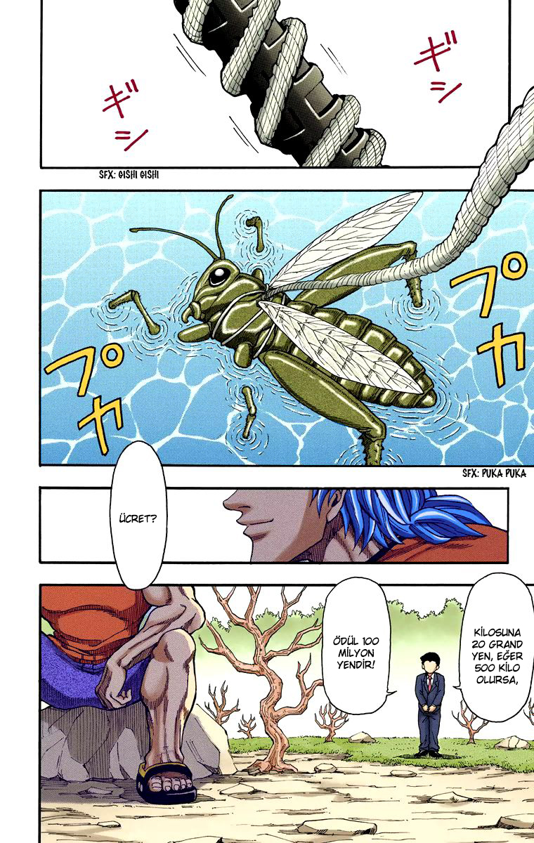 Toriko (Official Colored) Vol. 1 Ch. 1 第13页