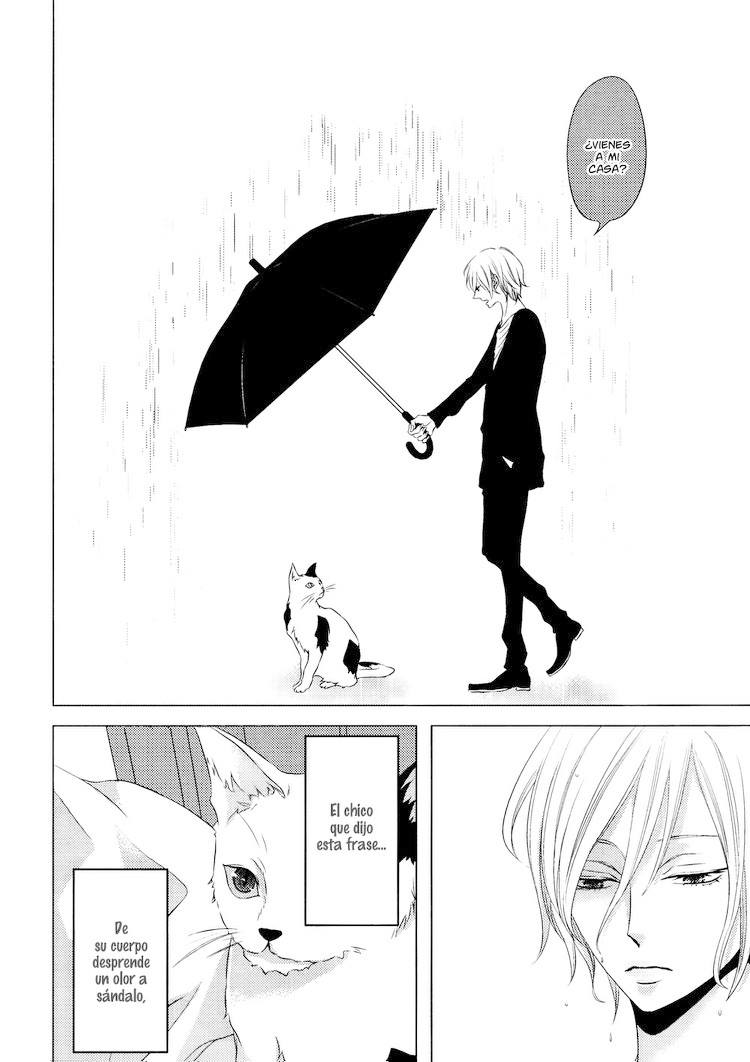 Utsukushi Yasei no Neko Shii 第5页