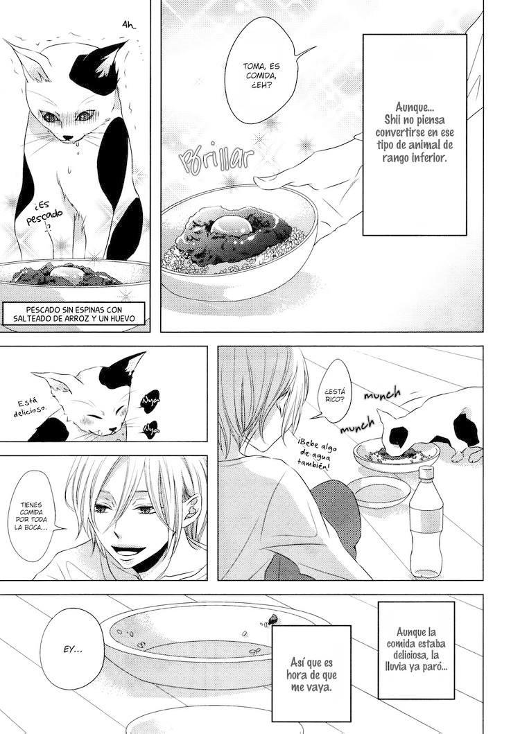 Utsukushi Yasei no Neko Shii 第8页