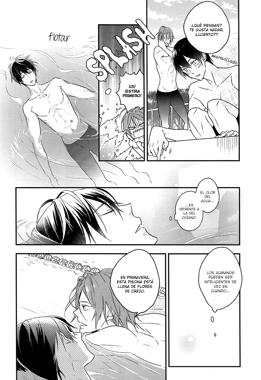 Free! - Little Mermaid In Love (Doujinshi) Vol. 2 第17页