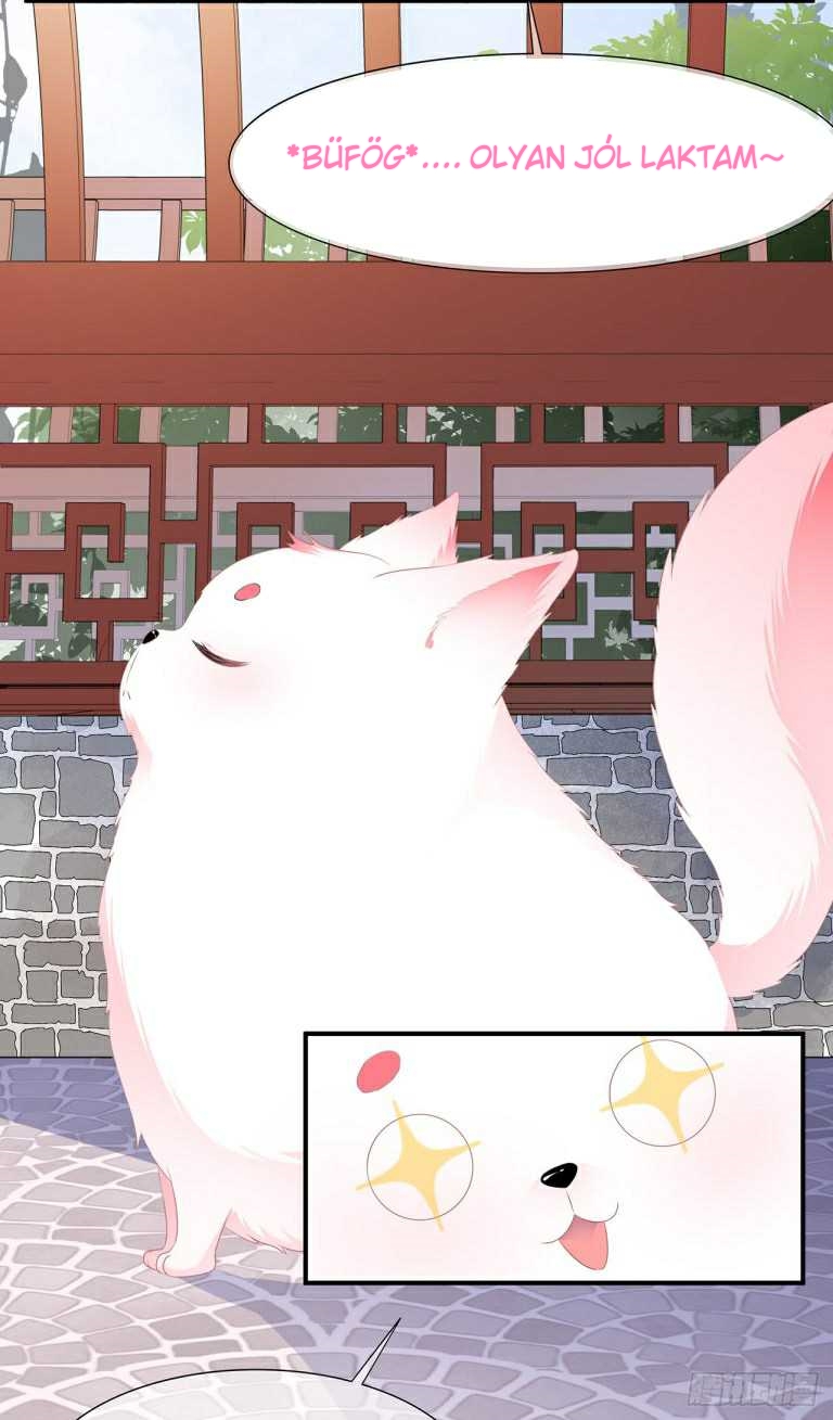 Fox Concubine, Don't Play With Fire Vol. 1 Ch. 1.5 第11页