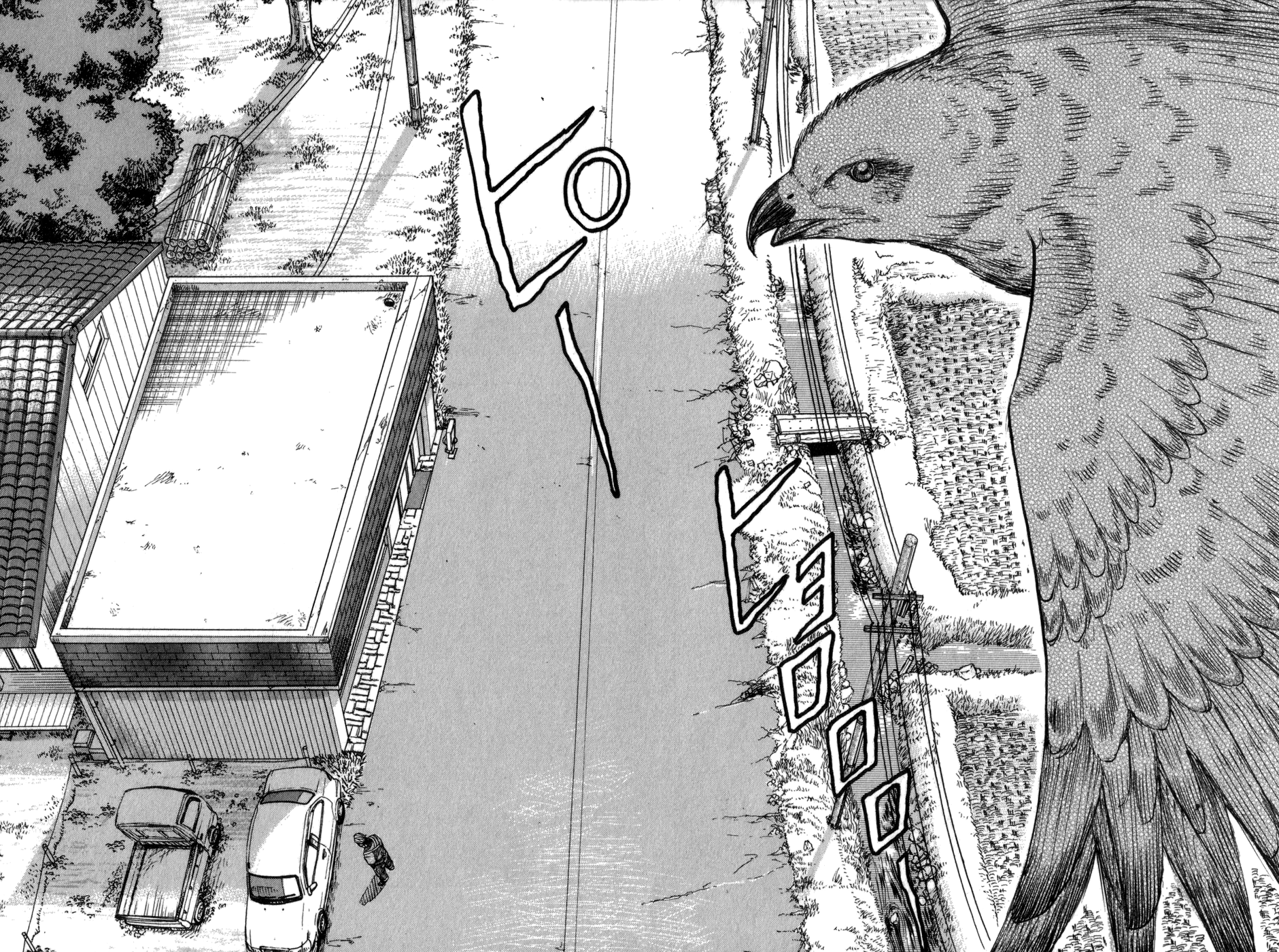 Harumichi Black Kite 第28页
