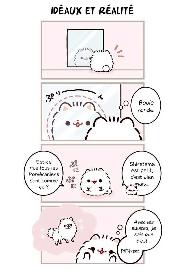 Mochi wa Pomeranian 第7页