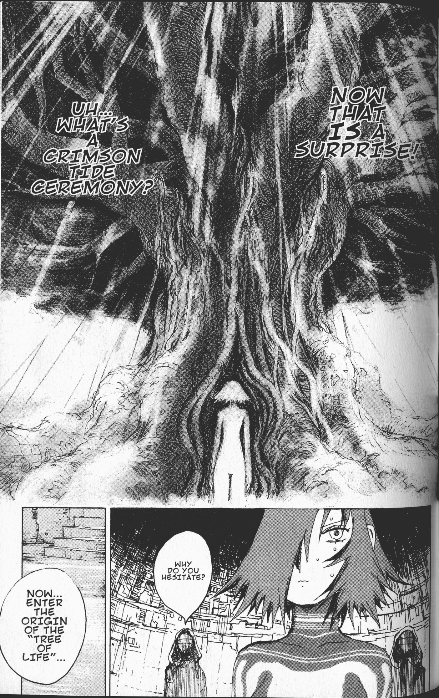 STONe Crimson Tide 第15页