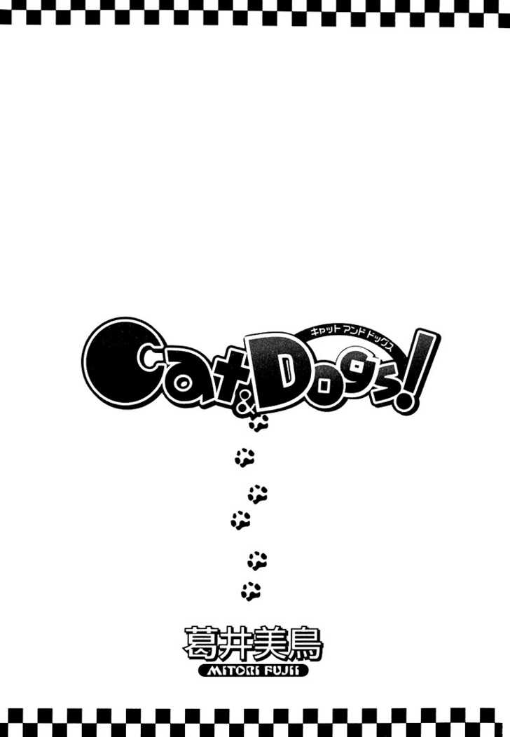 Cat & Dogs! 第3页
