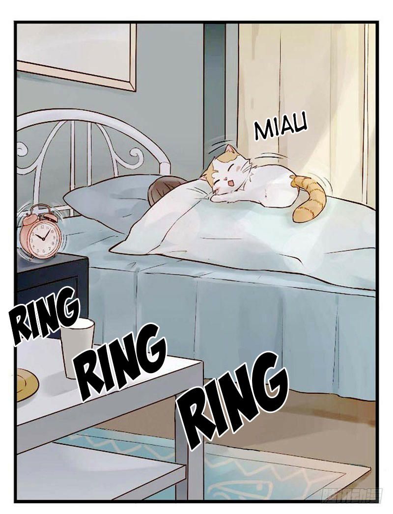 Mister Cat 第4页