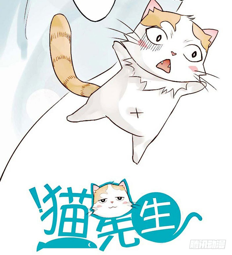 Mister Cat 第7页