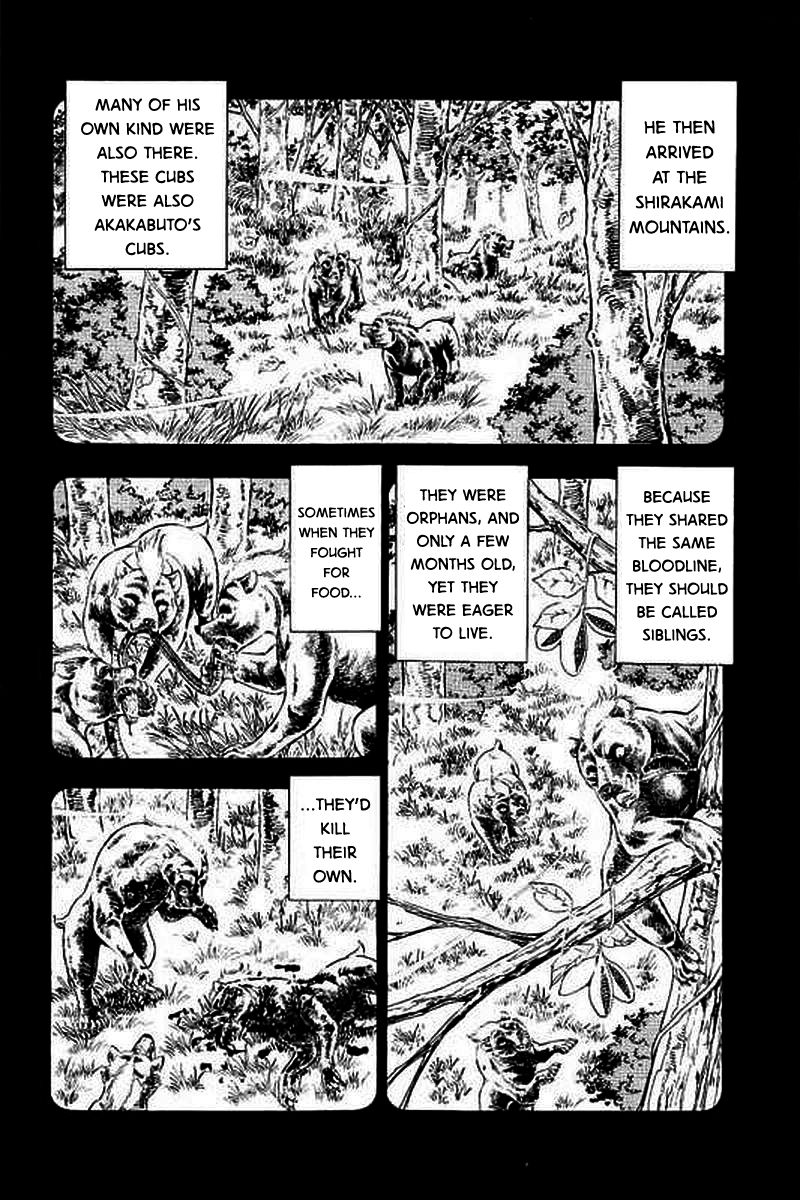 Ginga: The Last Wars A Destined Battle 第19页