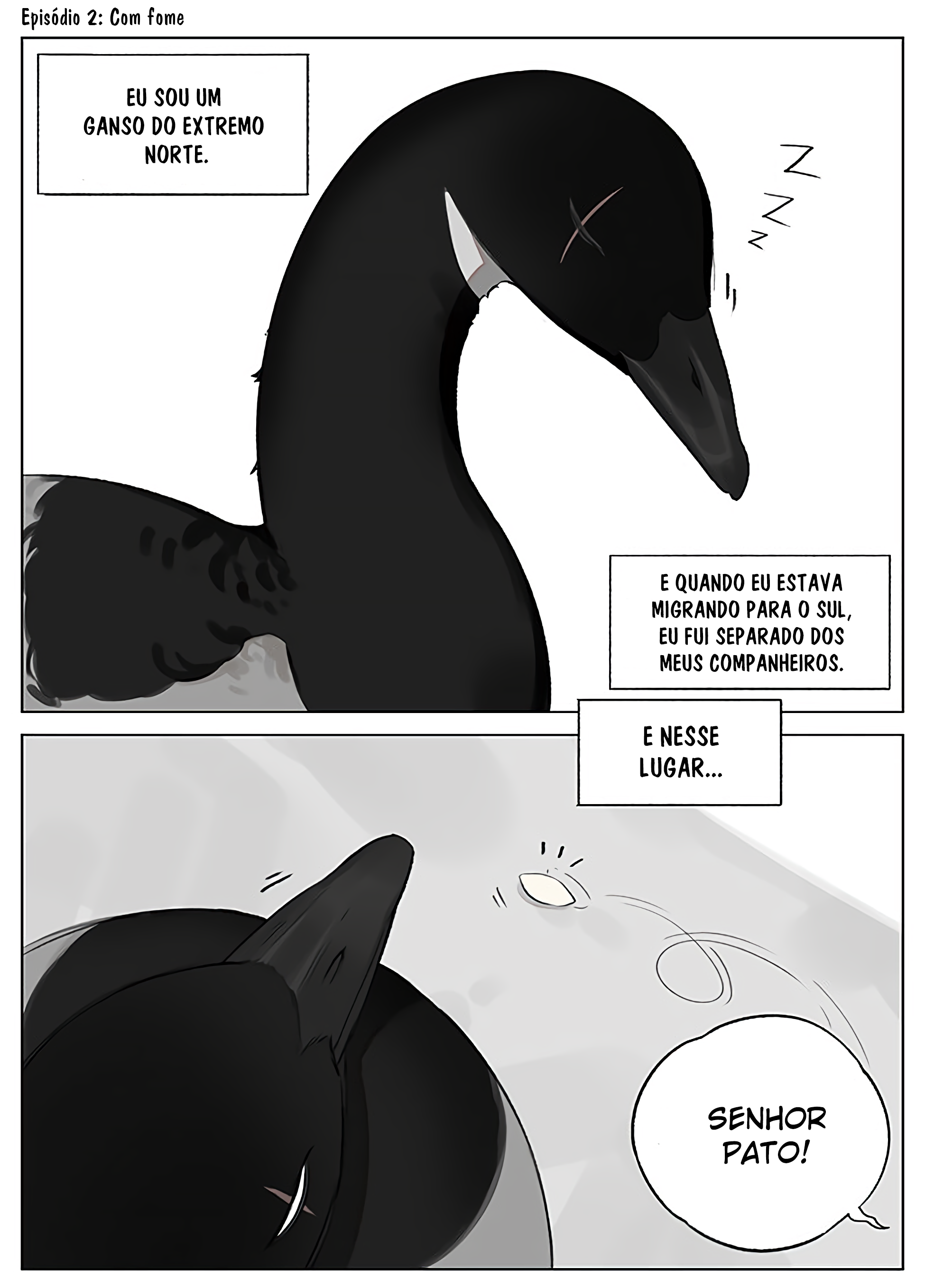 Southern Bird and Northern Bird Com fome 第2页