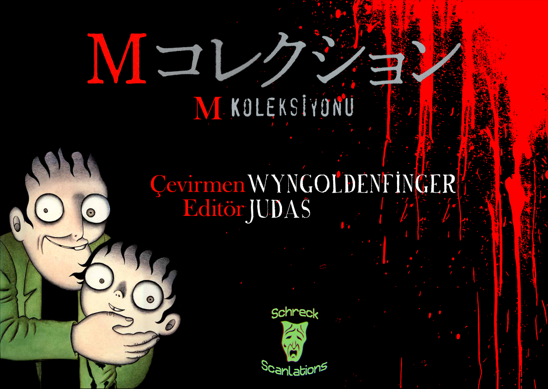 M Collection Örümcek Ağı 第1页