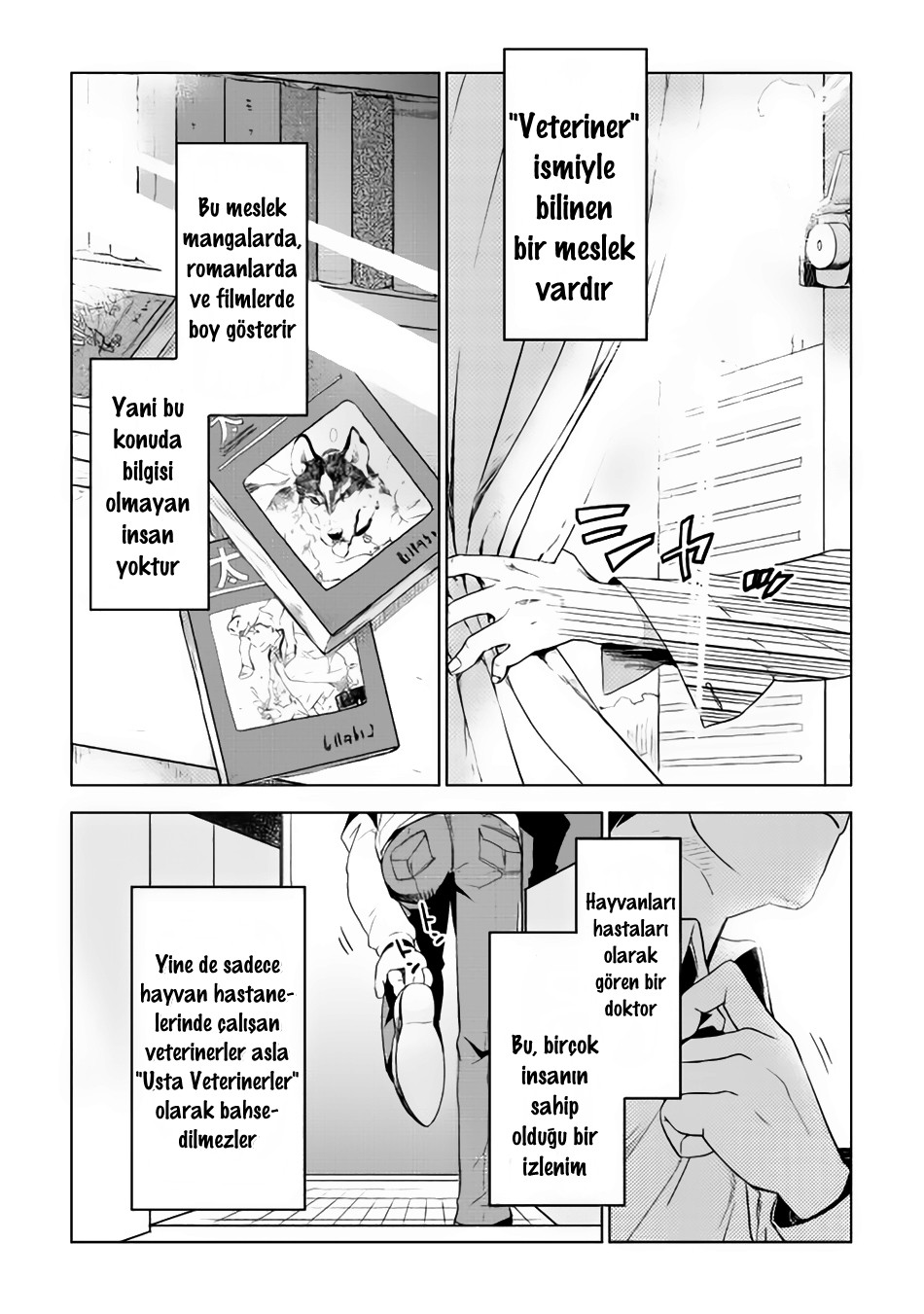 Jui-san no Oshigoto in Isekai 1. Dosya: Eşsiz İnsan 第2页