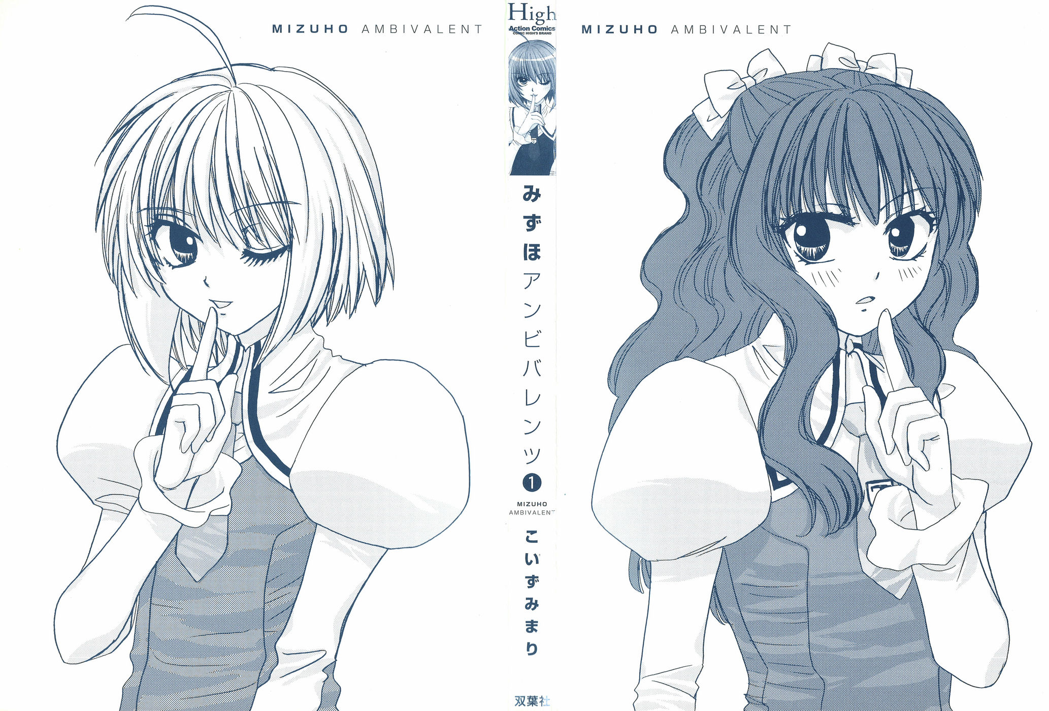 Mizuho Ambivalent 第3页