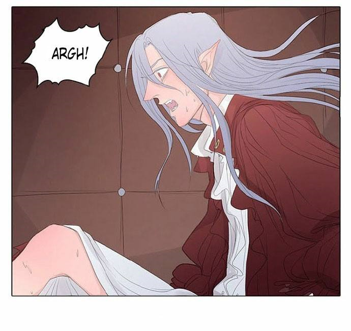 Vampire and Hunter Não importa quantos anos passem, eu sempre estarei ao seu lado. 第12页