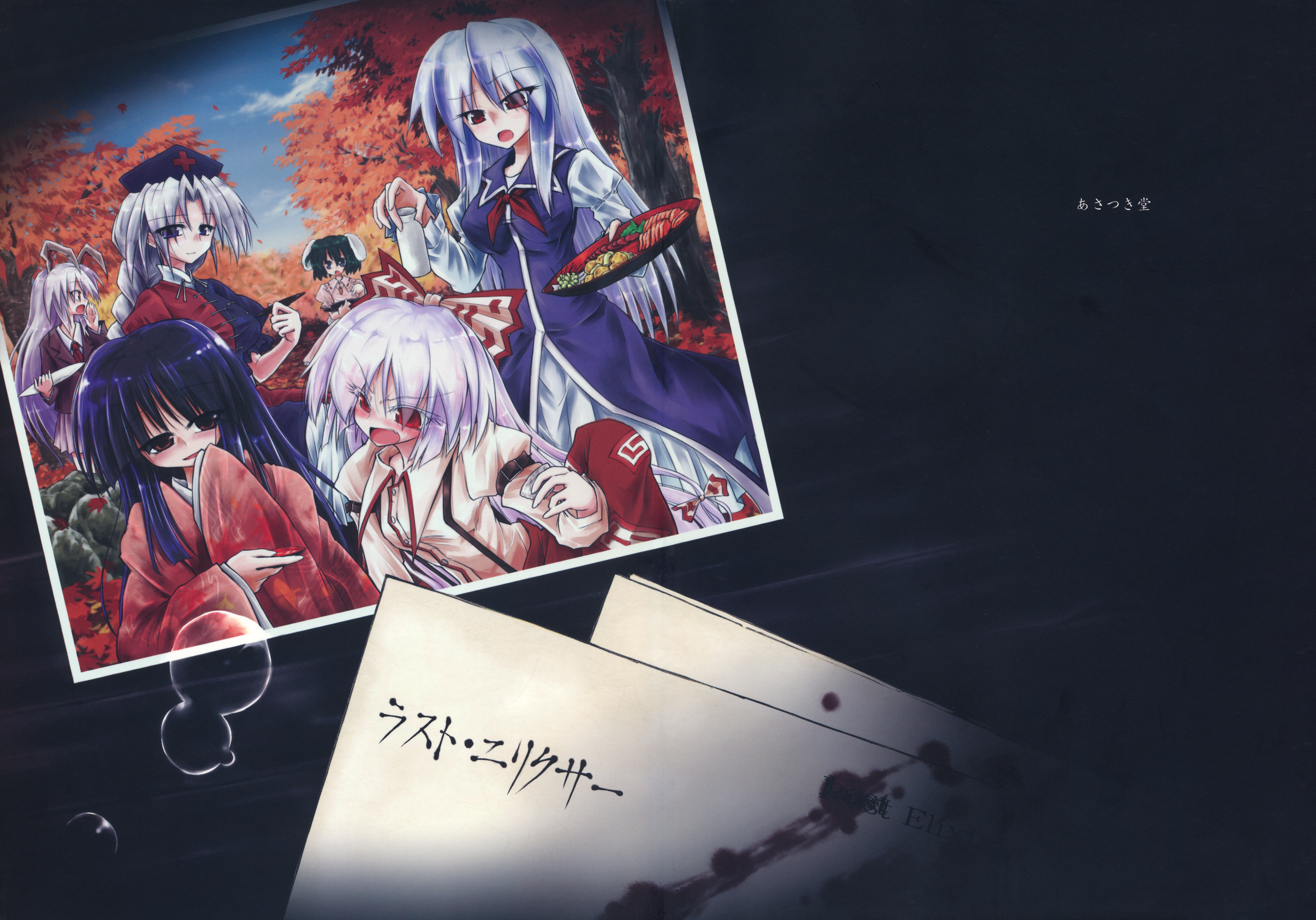 Touhou - Last Elixir (Doujinshi) 第1页