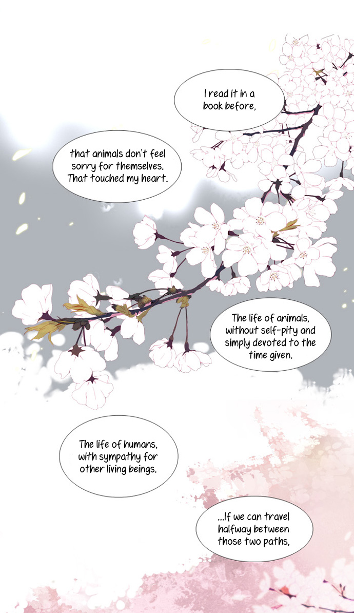 Nineteen, Twenty-One Cherry Blossom 第21页
