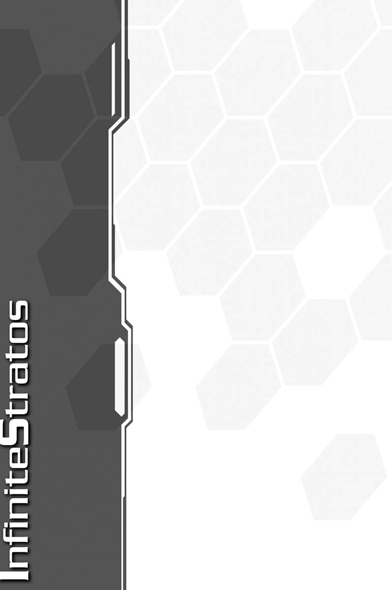 Infinite Stratos Noc przed zdarzeniem 第21页