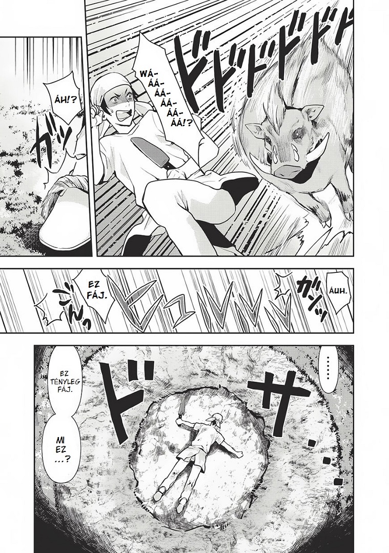 Isekai Ryouridou Vol. 1 Ch. 0 第17页