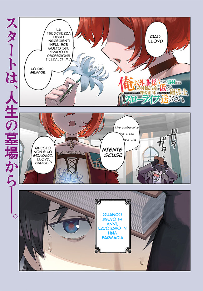 Ore Igai Dare mo Saishu Dekinai Sozai na no ni "Sozai Saishuritsu ga Hikui" to Pawahara suru Osananajimi Renkinjutsushi to Zetsuen shita Senzoku Madoushi, Henkyou no Machi de Slow Life wo Okuritai. Un genio alchimista e un assistente incompetente 第2页