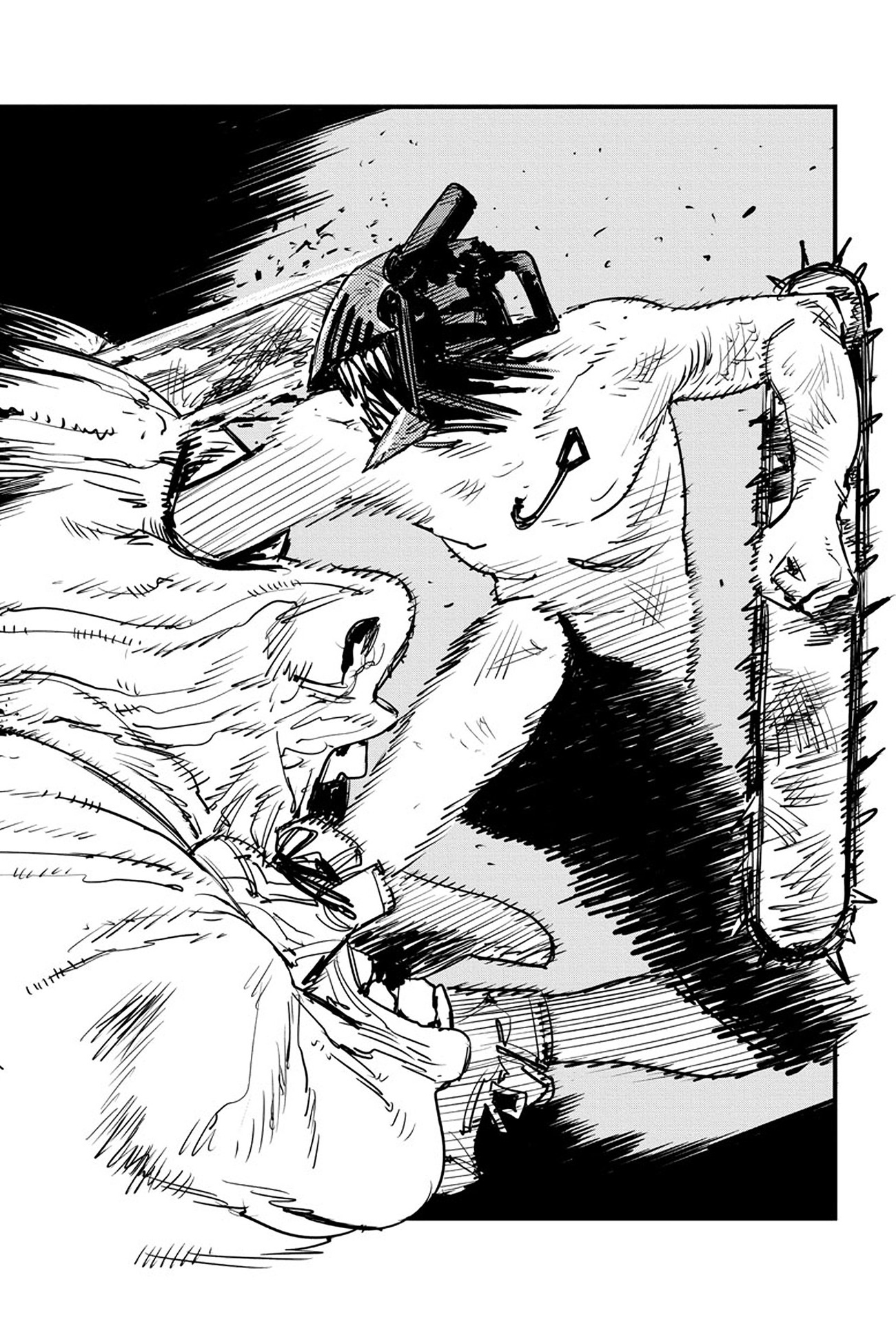 Chainsaw Man Anjing & Gergaji 第48页