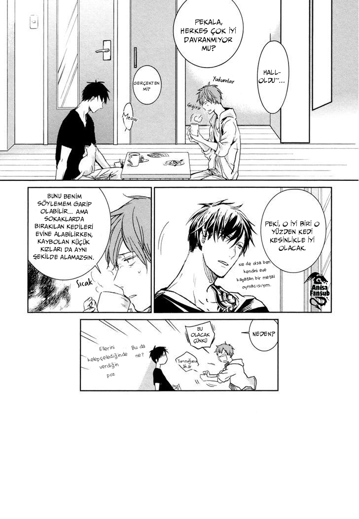 Links Ch. 3 第12页